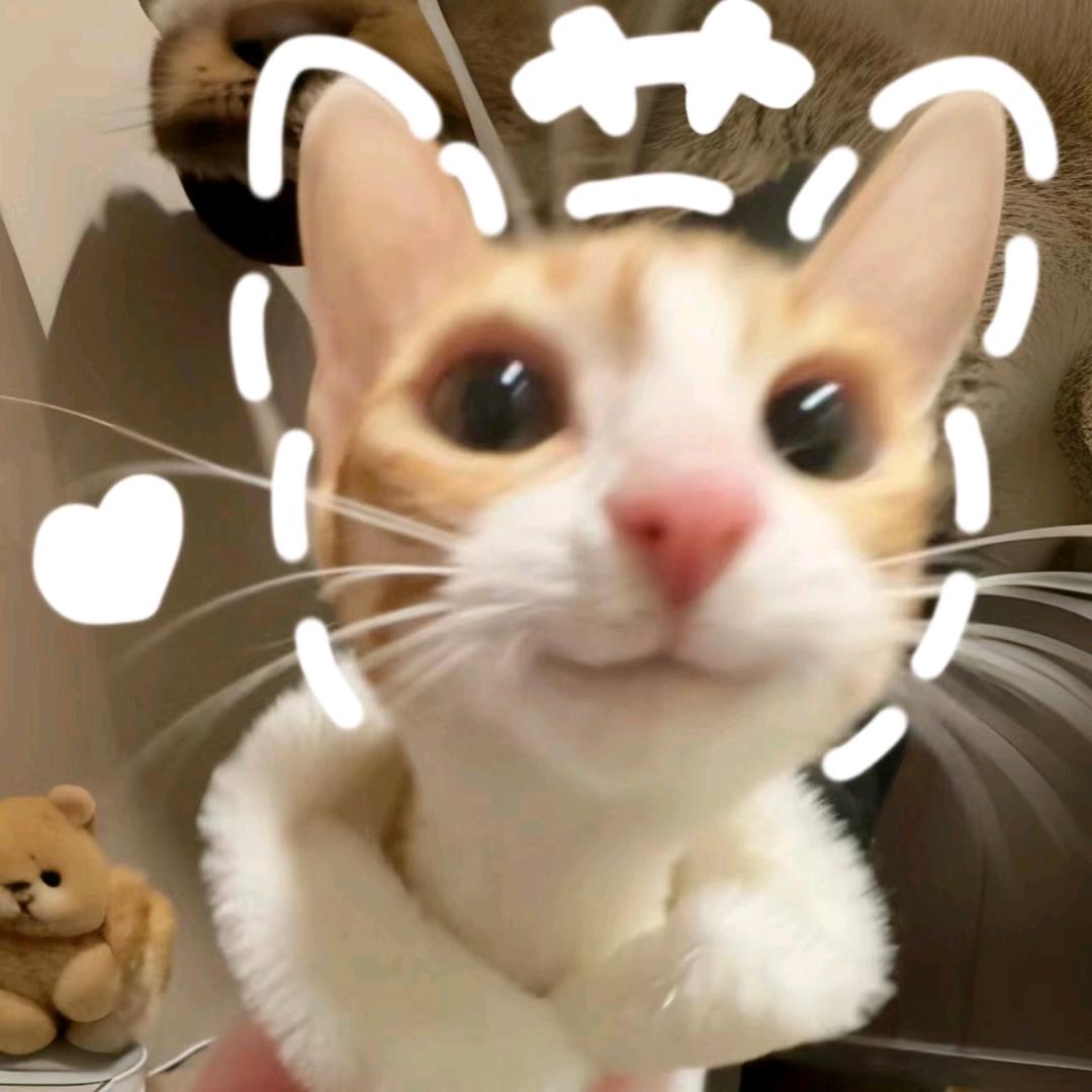 布吉岛布吉岛布吉岛