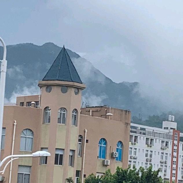 洒洒67