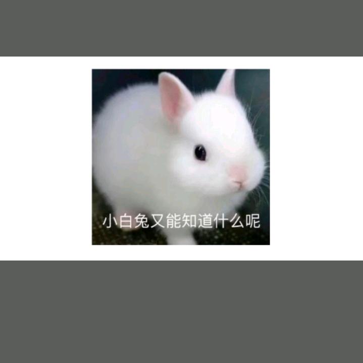 要像花儿一样绽放