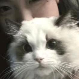 ๑爱y头像