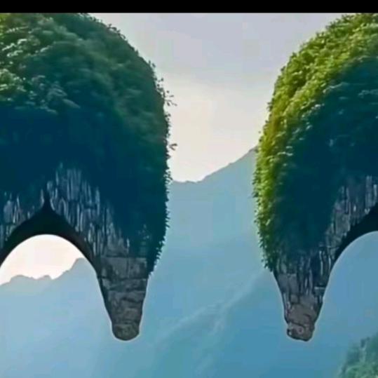 龙宝哥。