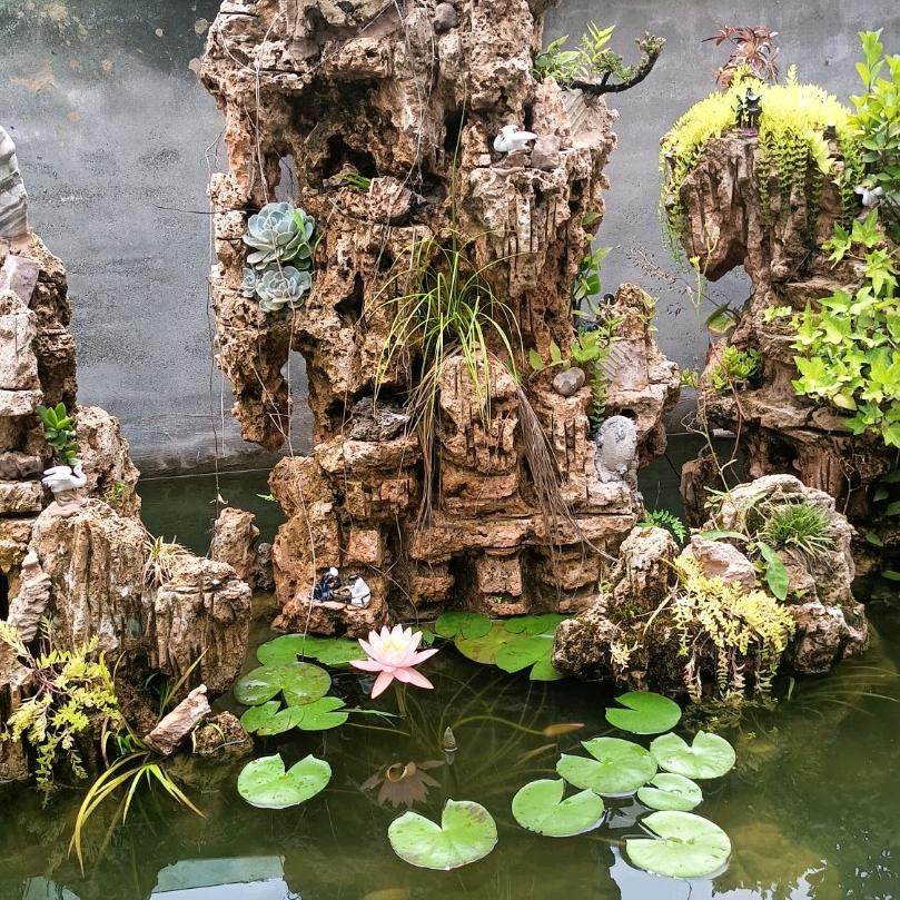 杨大军肥料批发