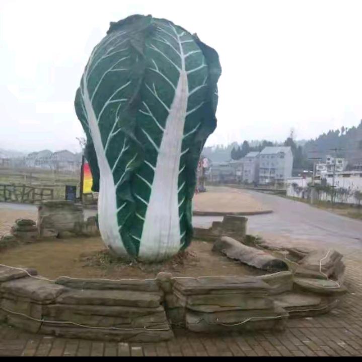 陪伴一生拒绝私聊