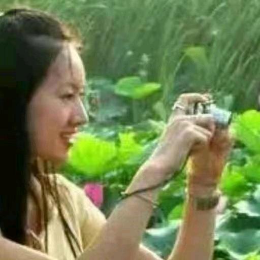 海棠带你去旅游