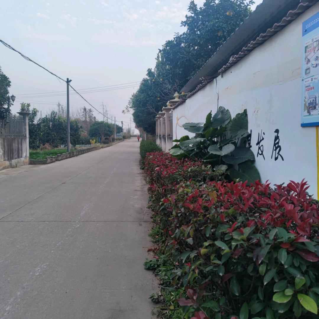 寒敖