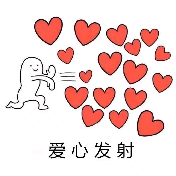 猪程