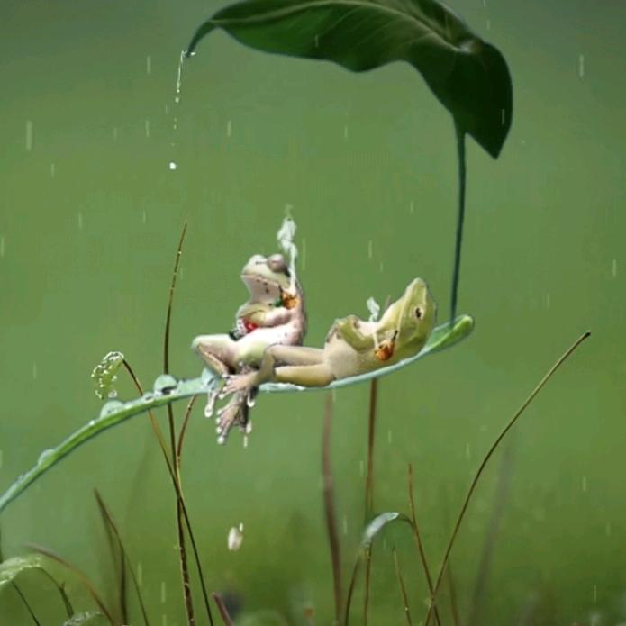 💖꫞꯭💞᭄᪲ᩚ꯭幸福的小哥💞᭄᪲