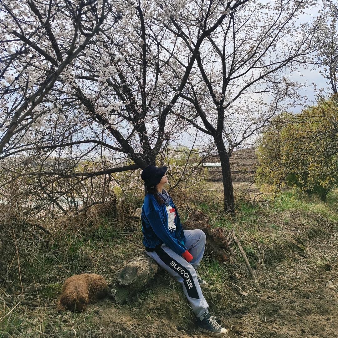 王翠花