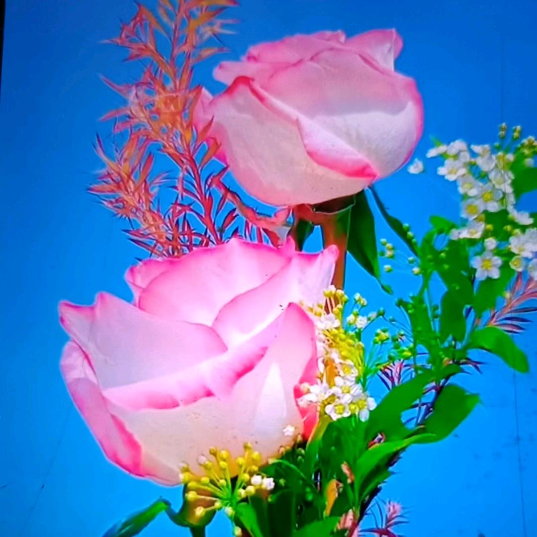 小梅（爱唱歌）