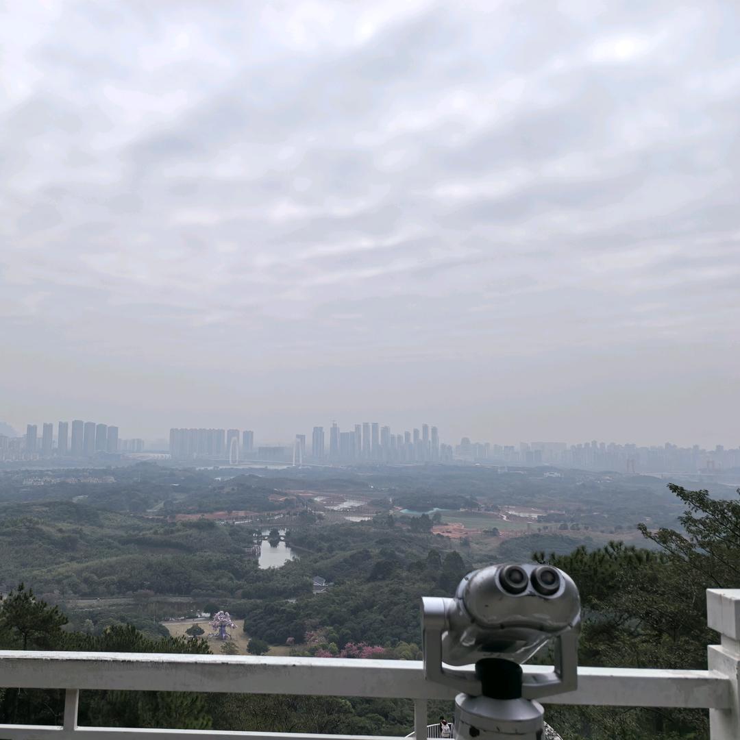 不吃土豆🥔
