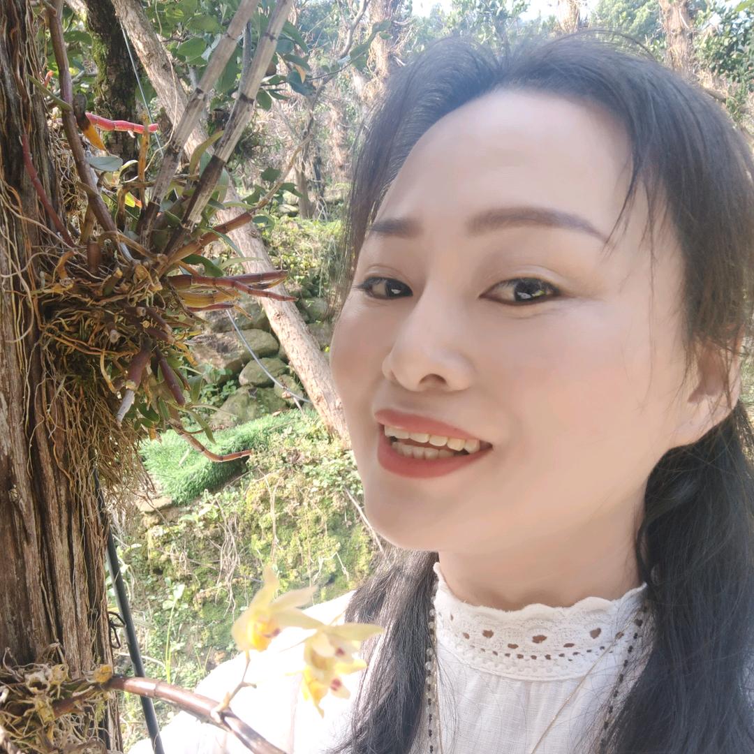 铁皮石斛管家––阿连