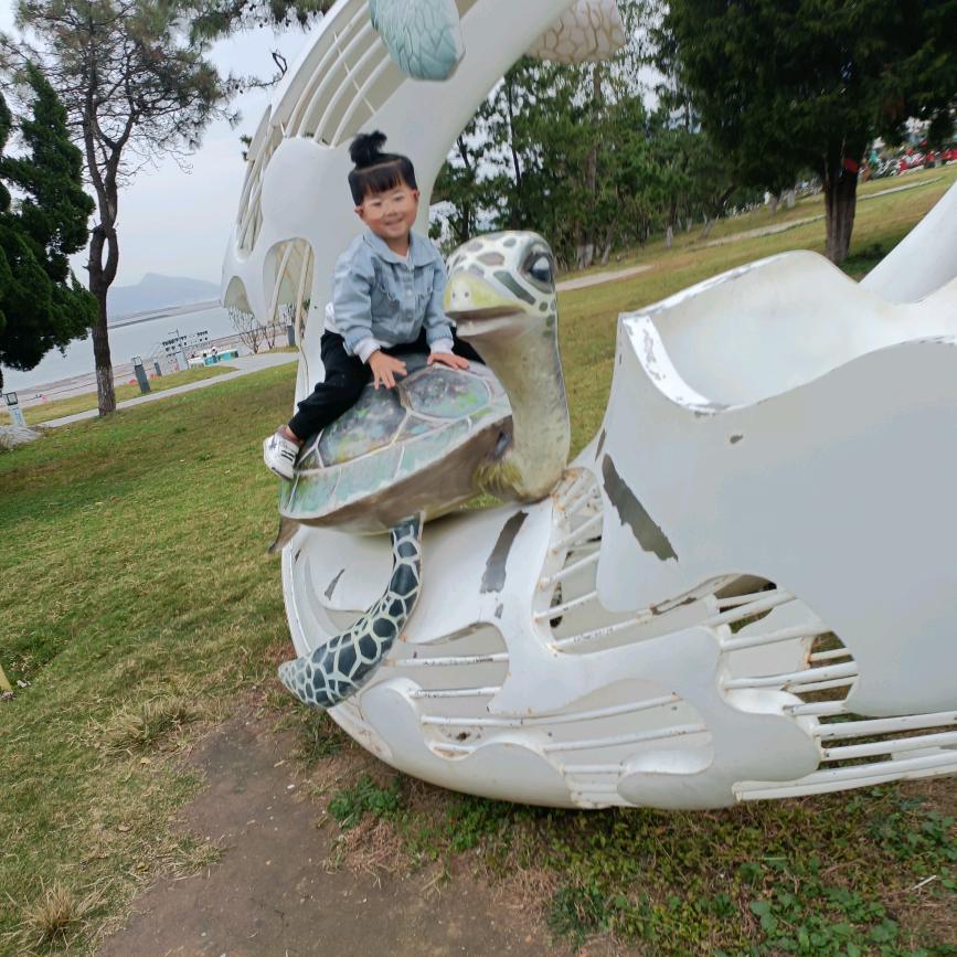 田明星