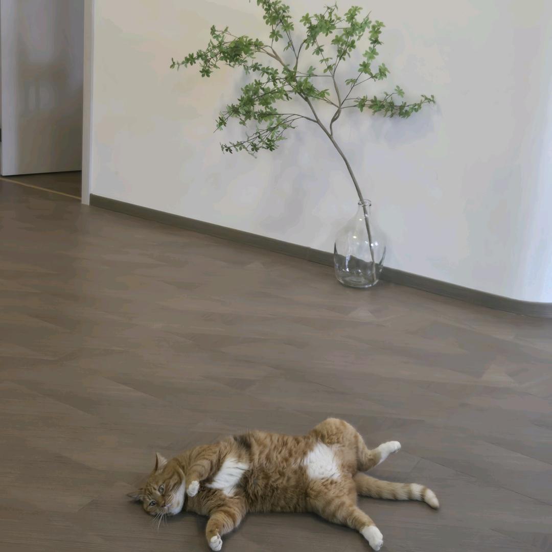 不知道说什么才胡说