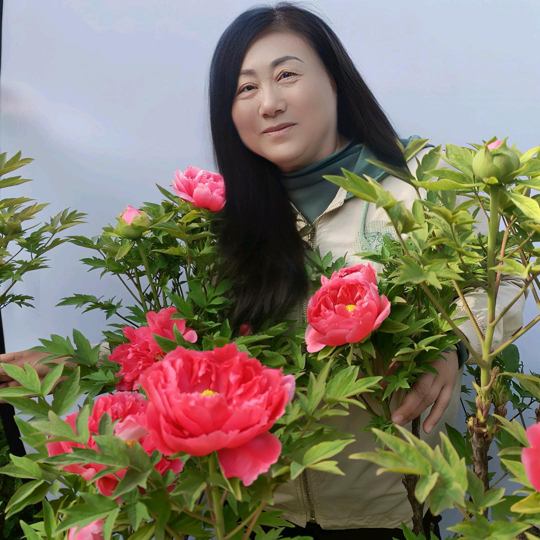 花好月圆🌸