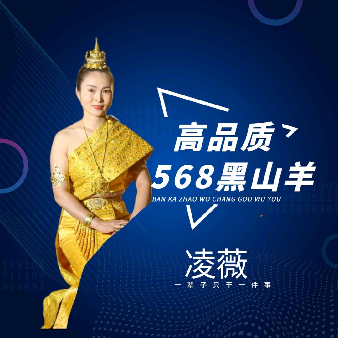 黑山羊  凌薇