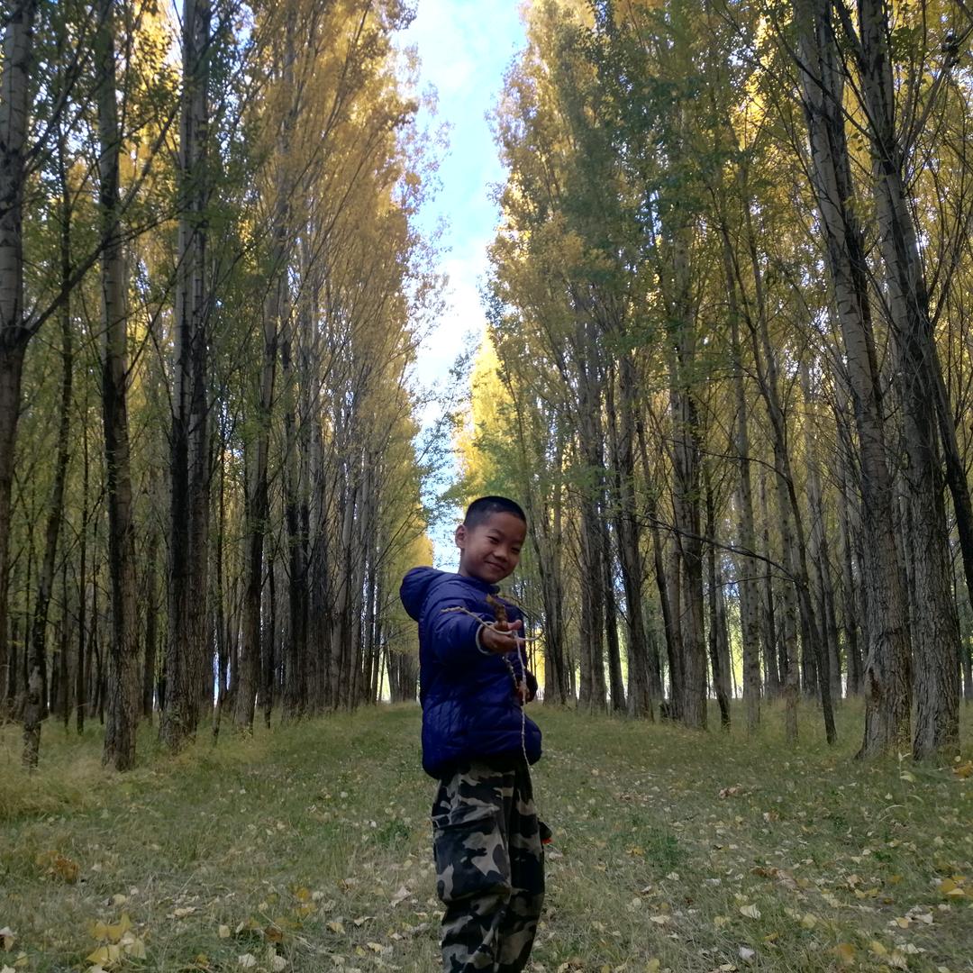 和丰三棵树，马上住