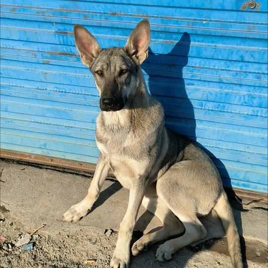 下荫小赵殡葬礼仪