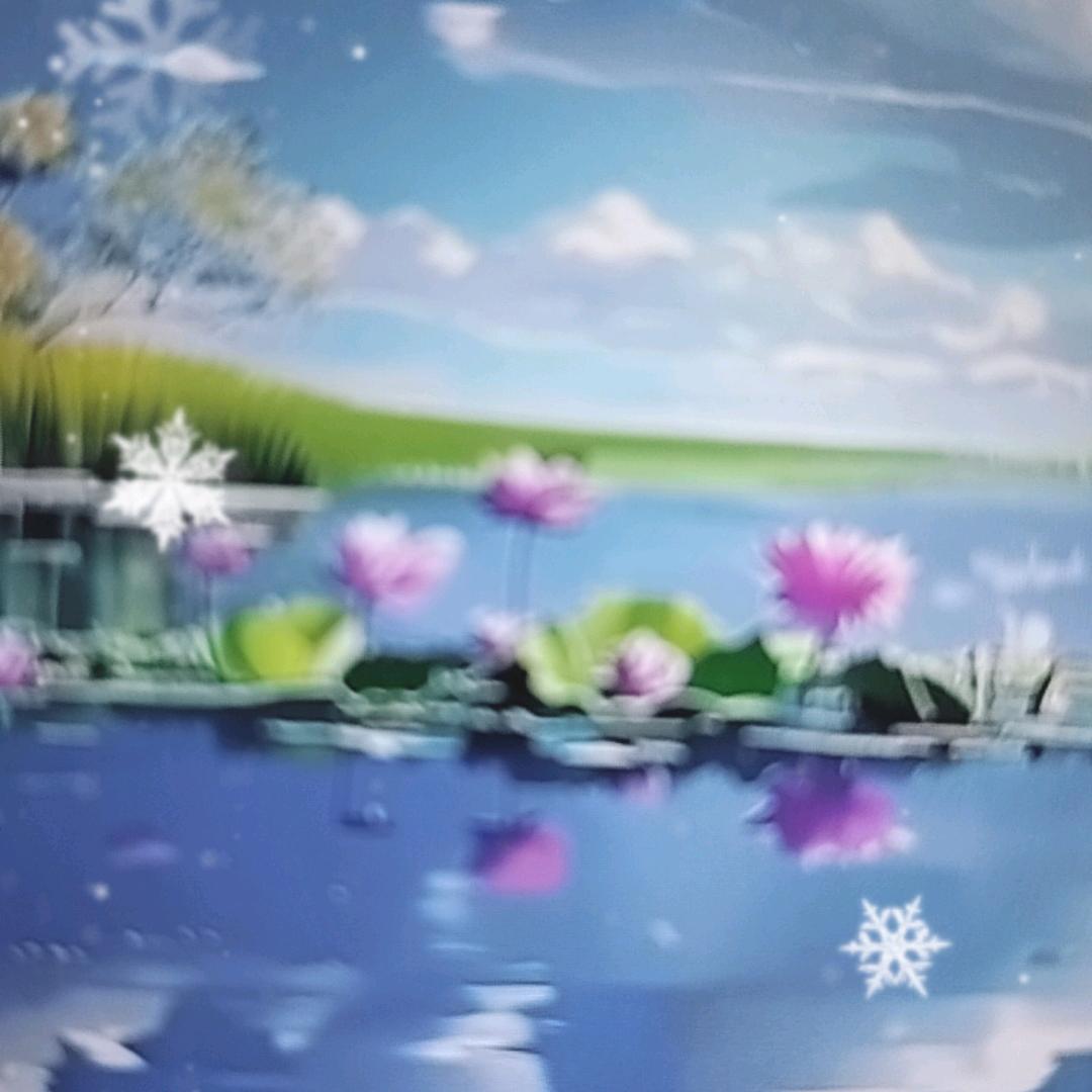 大可