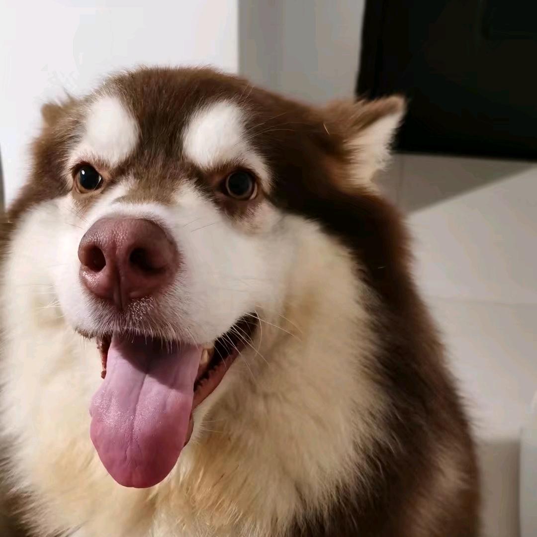 天乐九月☆⁶⁰⁶