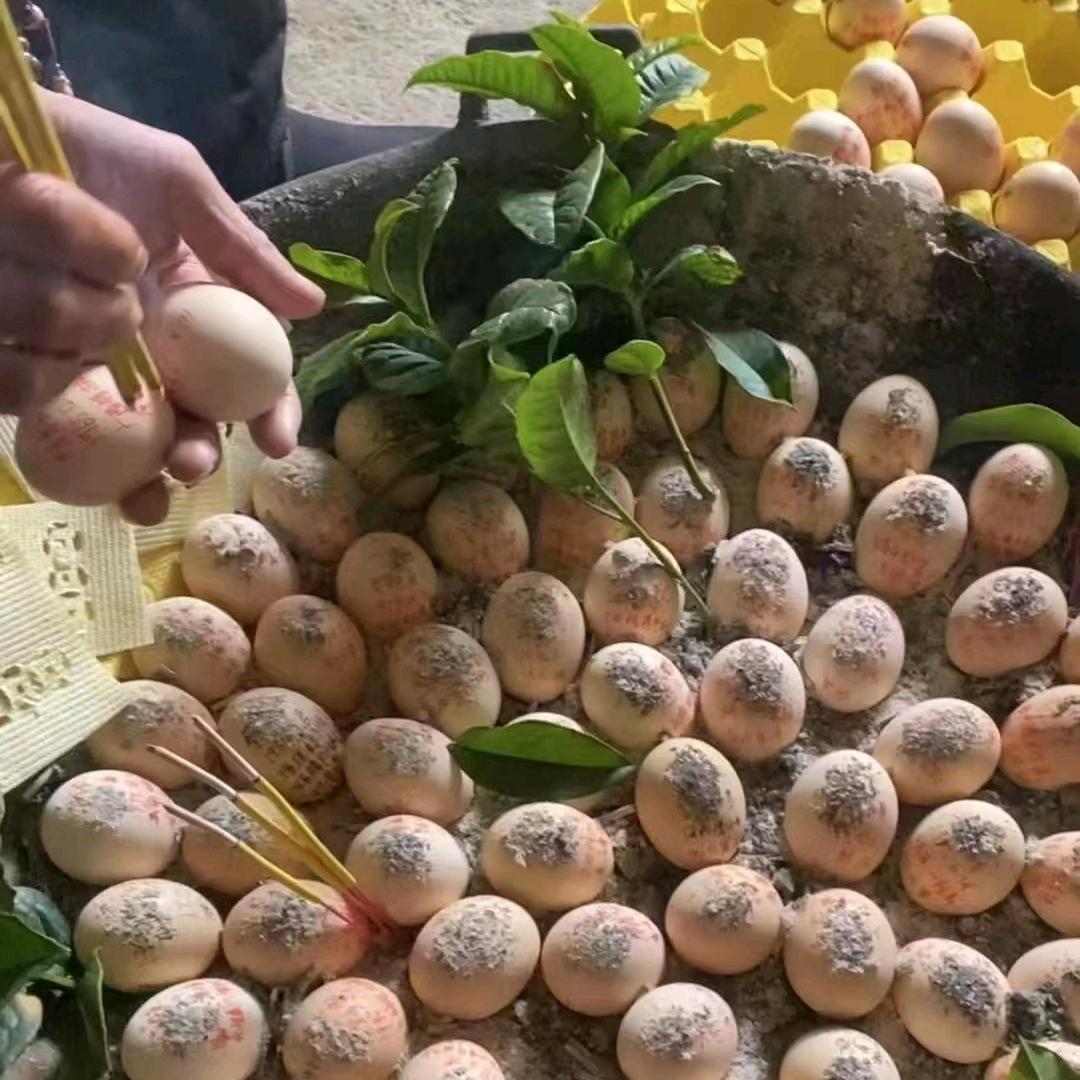 烧蛋师傅【先关后烧】