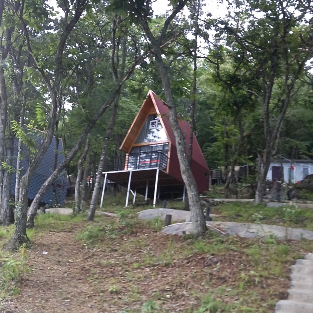 🫐琴🪻深🎀是🎈海