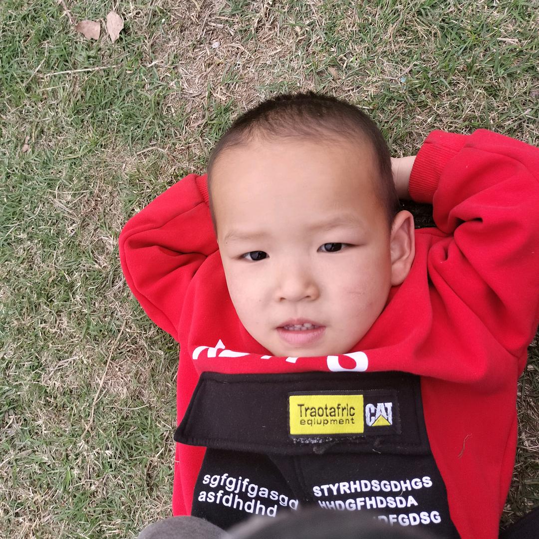 ✨小猫钓鱼🎣✨