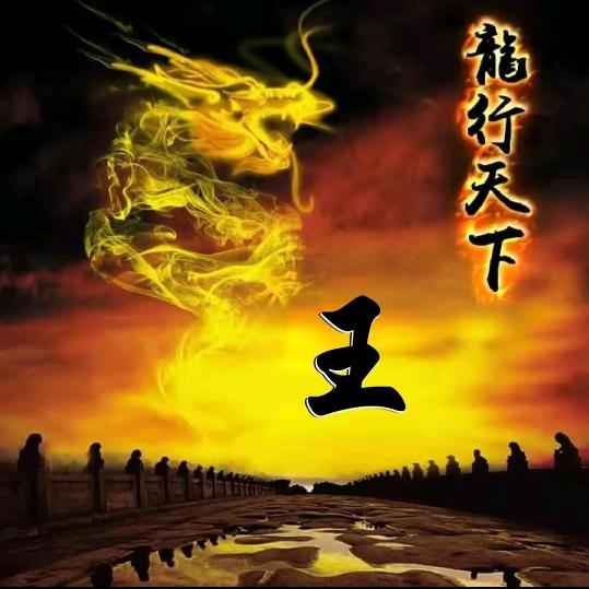 冷静-龙海庄主5555