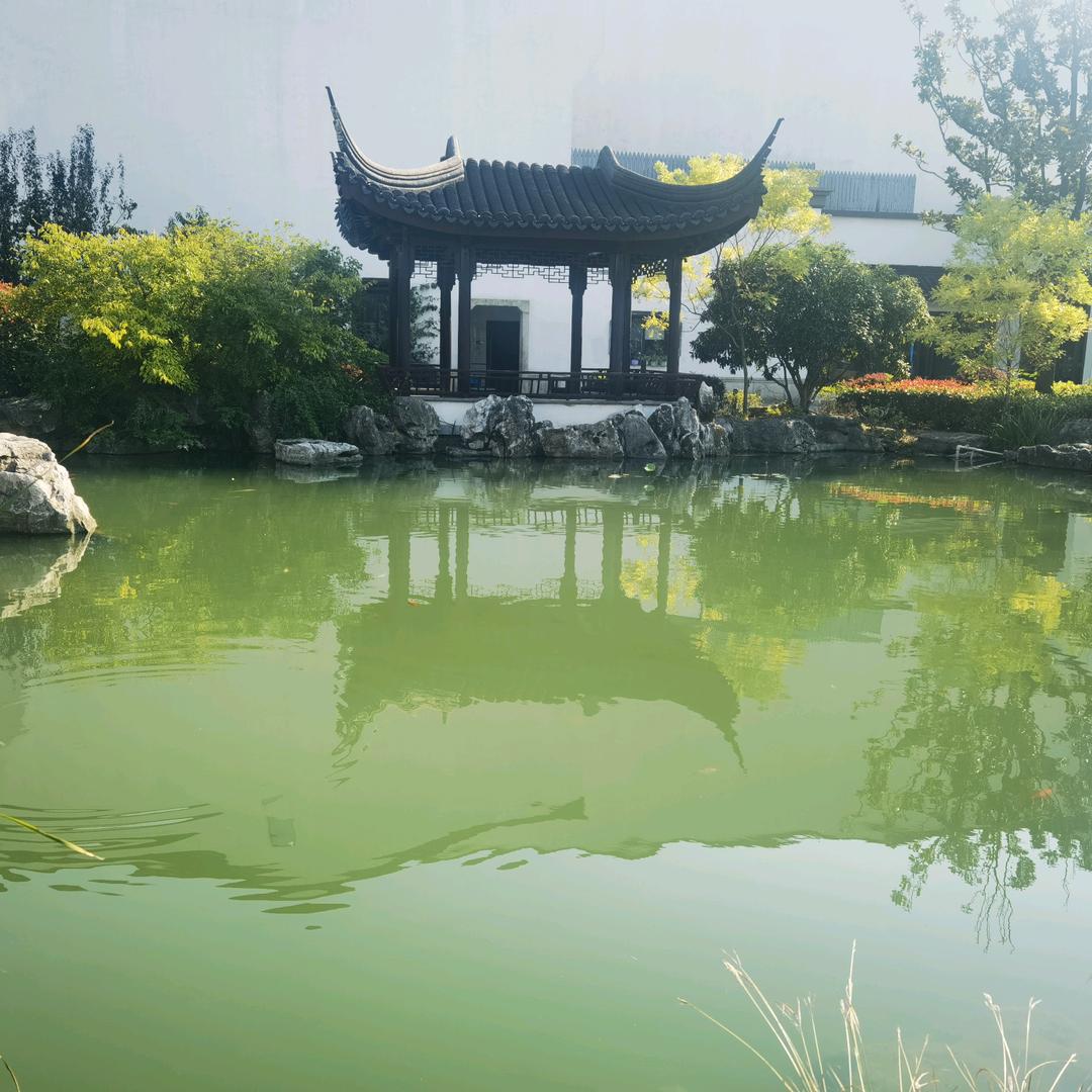 源源丫