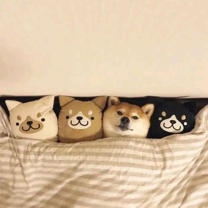 小杜的朋友圈