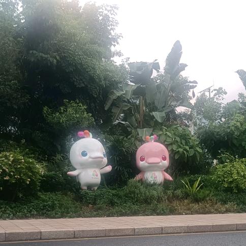 单身刘云