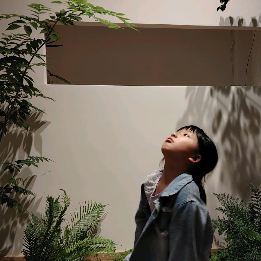杨姐