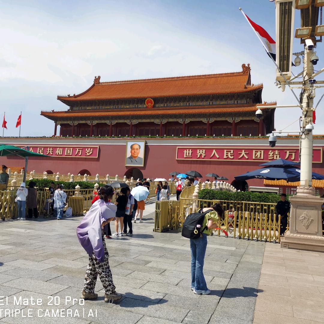 陈东东