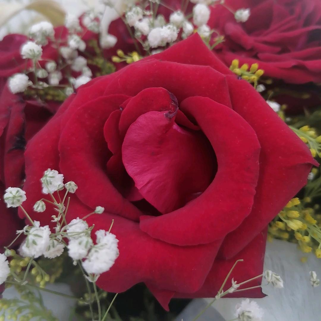 ༄曾经再🥀美也是🌿伤࿐ᩚ