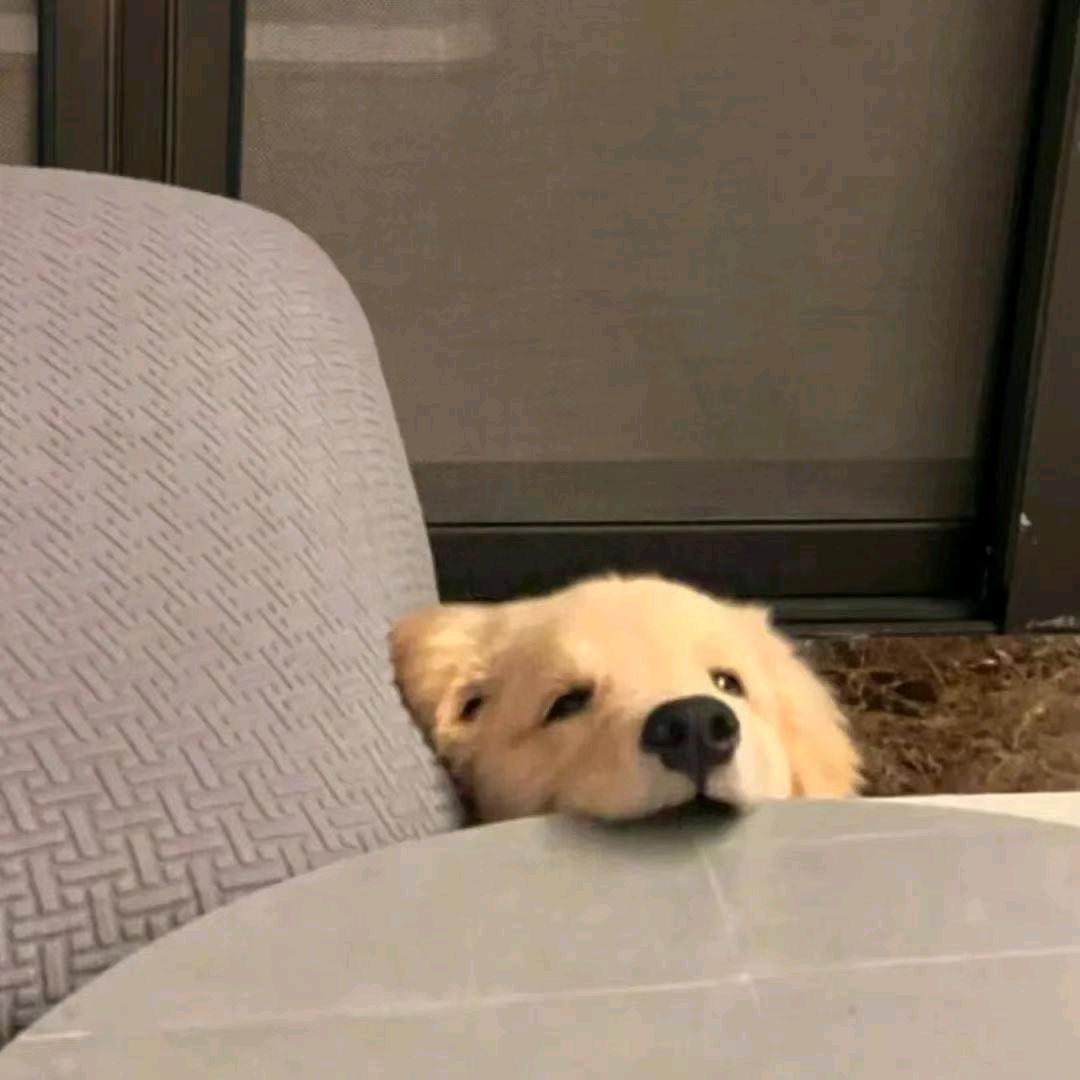 .牛.