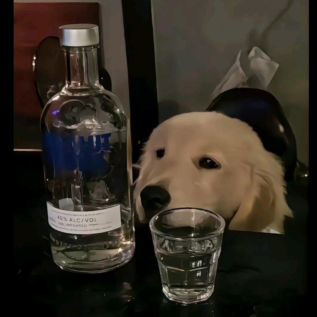 王某