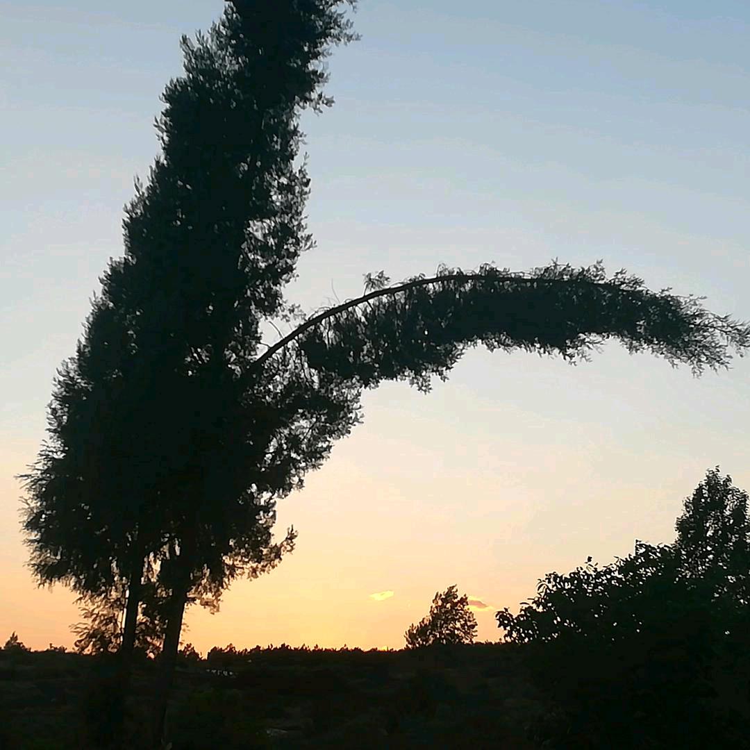 空荡