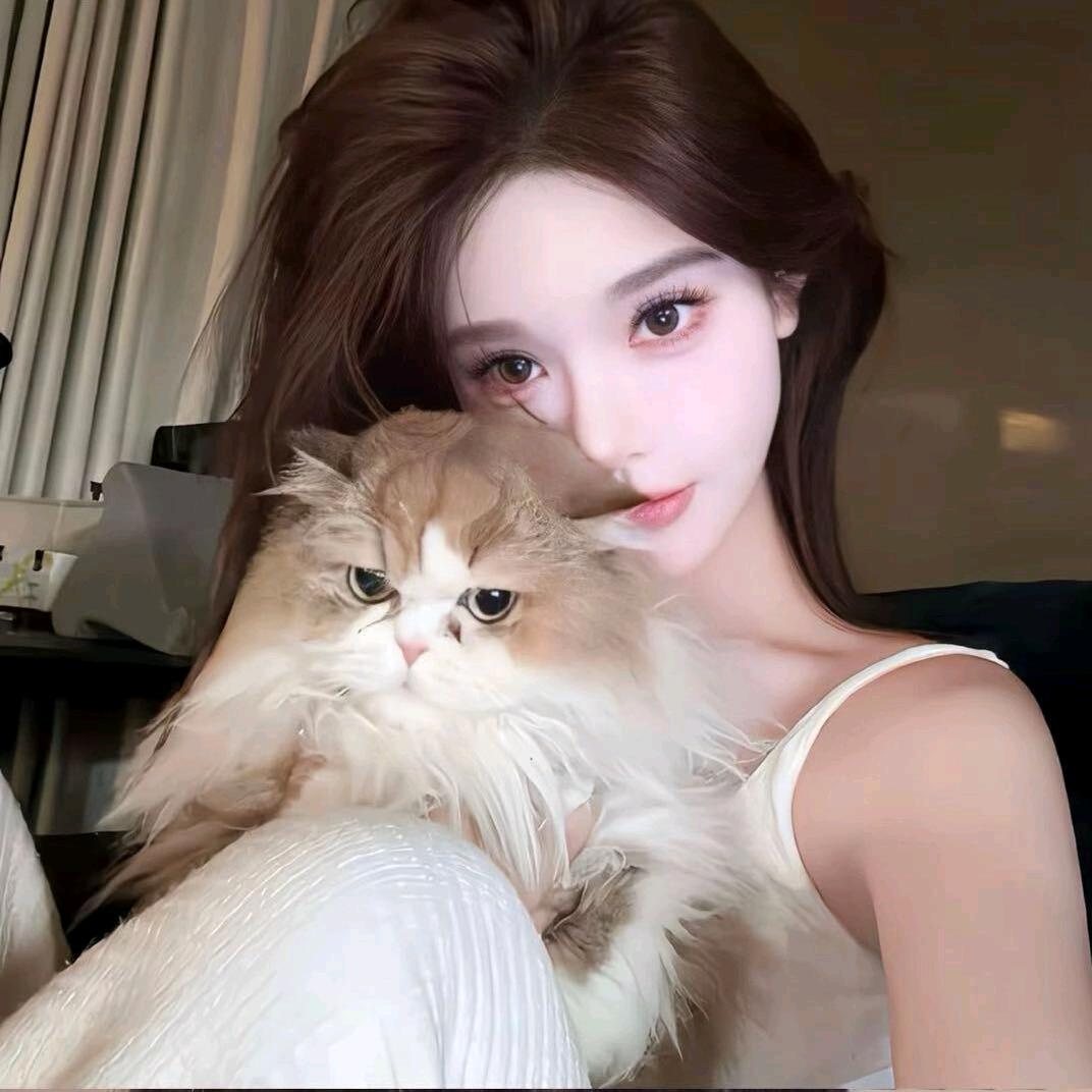 揽月.