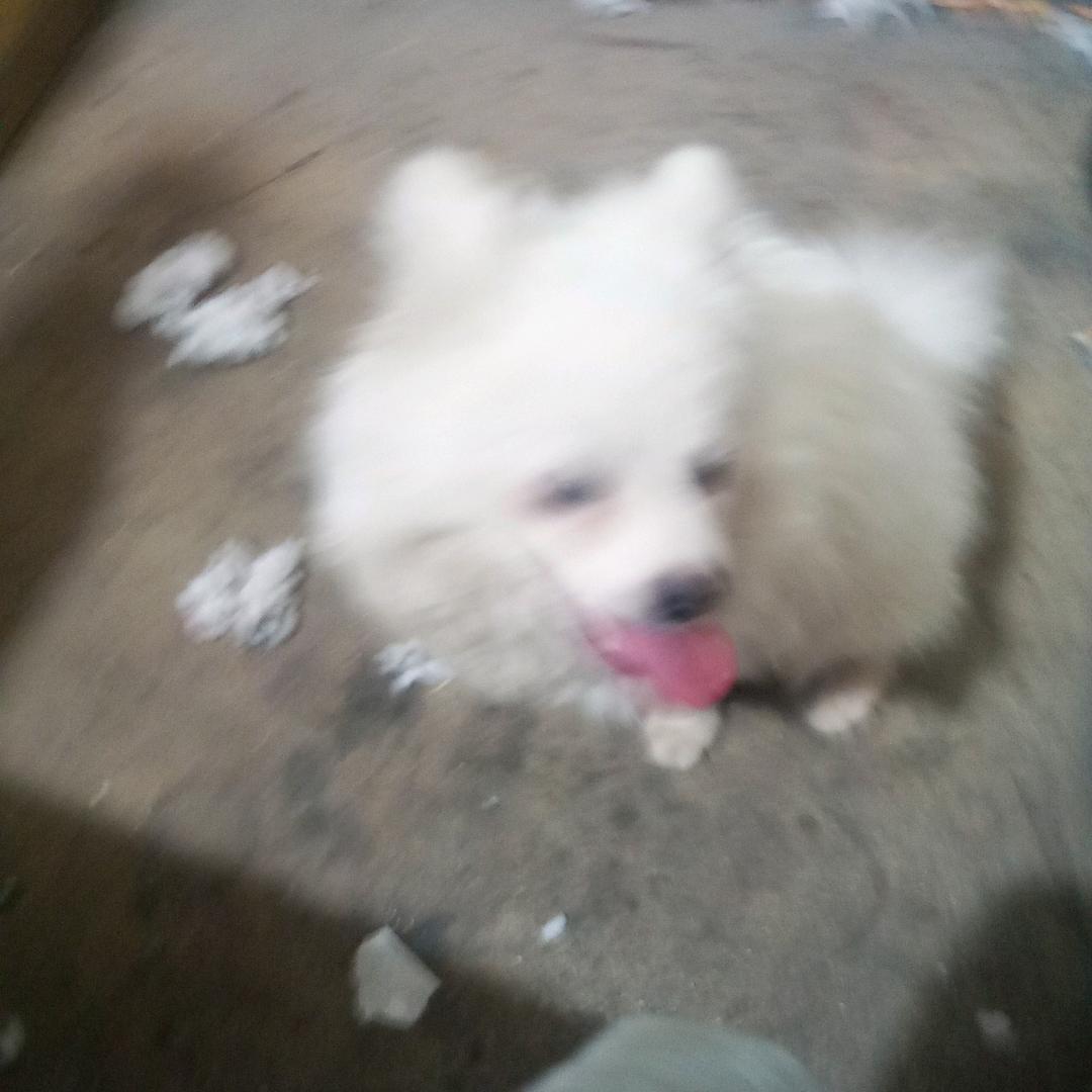 一笑而过