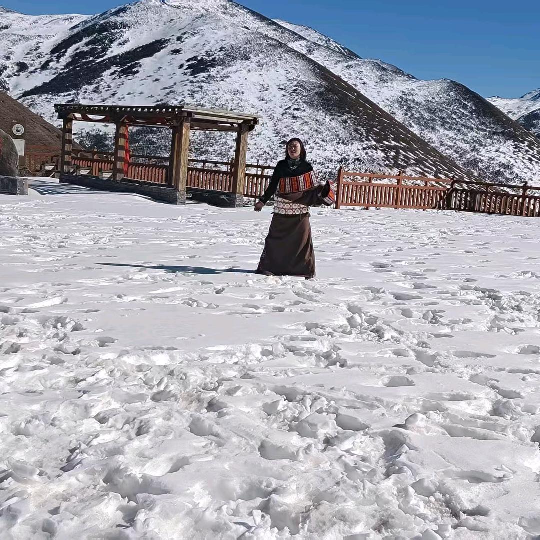 刘萍代收格种蔬菜