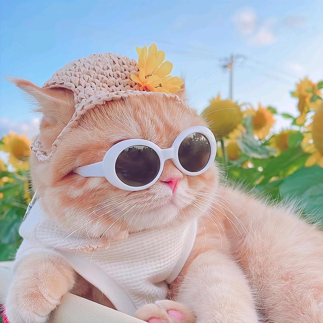 （๑⃙⃘´༥`๑⃙⃘) 𐂐