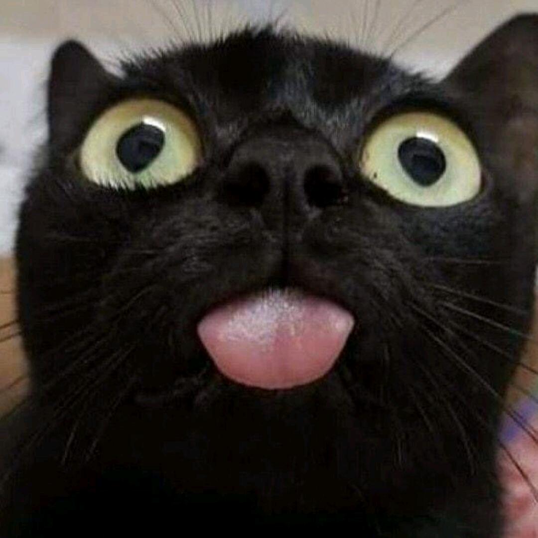 QQ哥