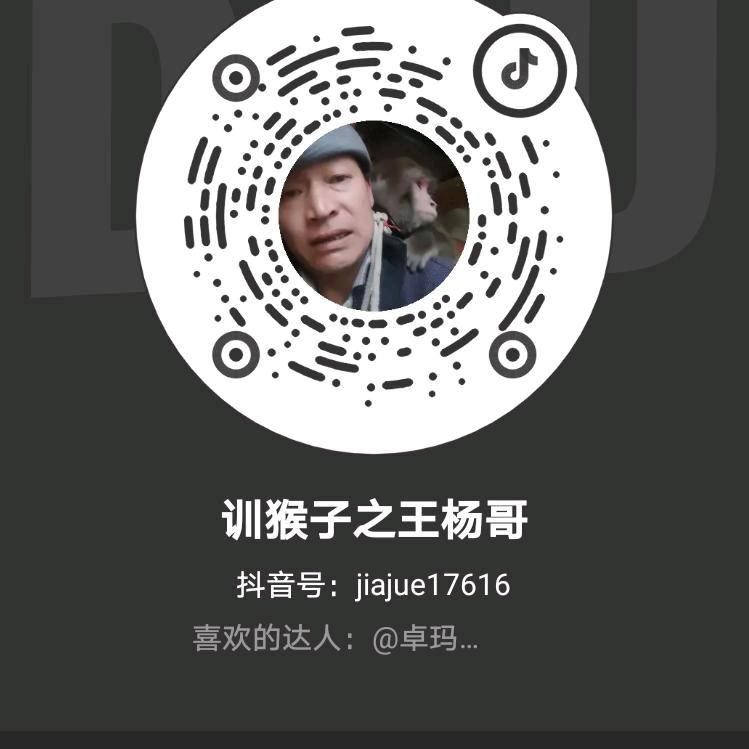 训猴之王杨哥