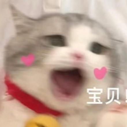 小星月🌸