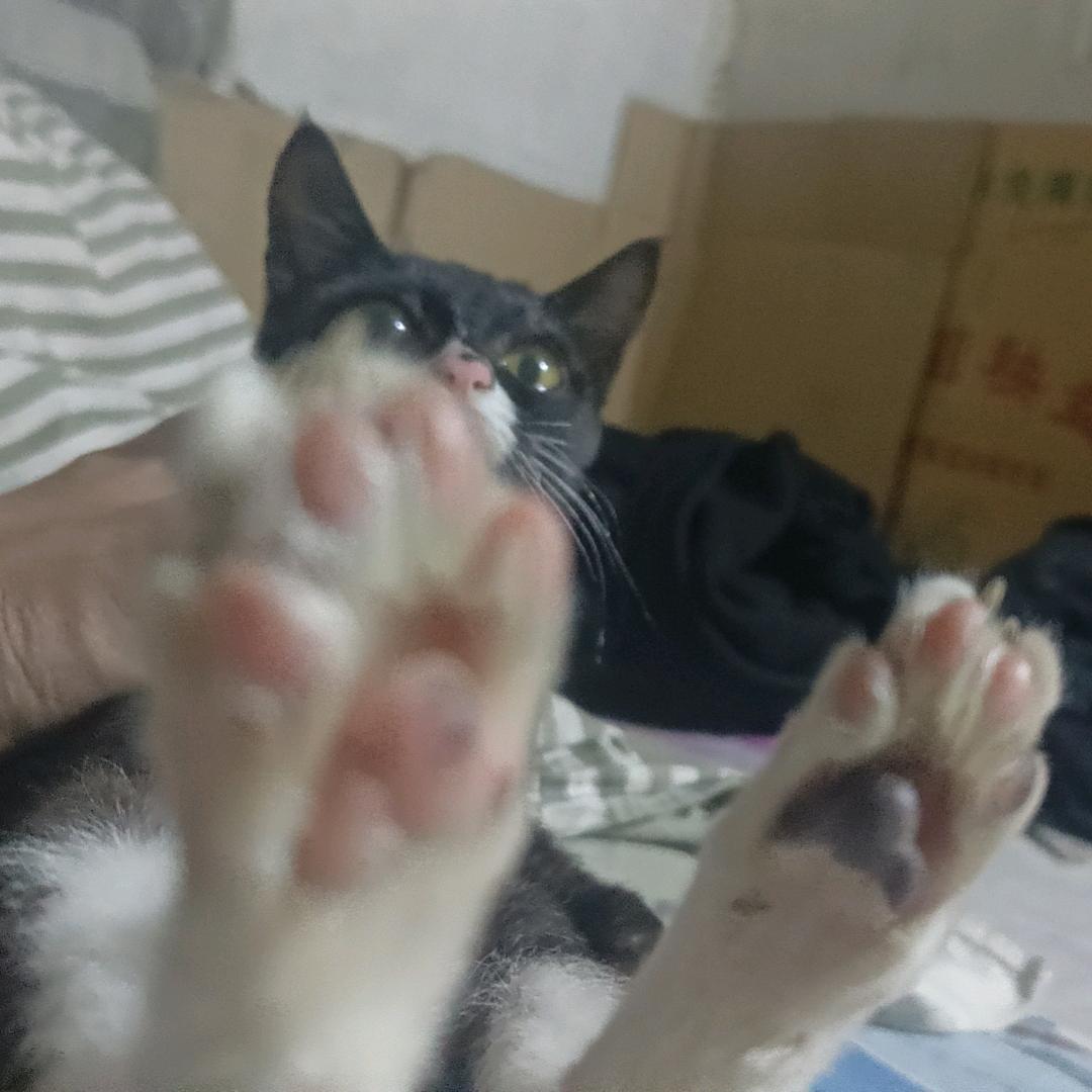美人