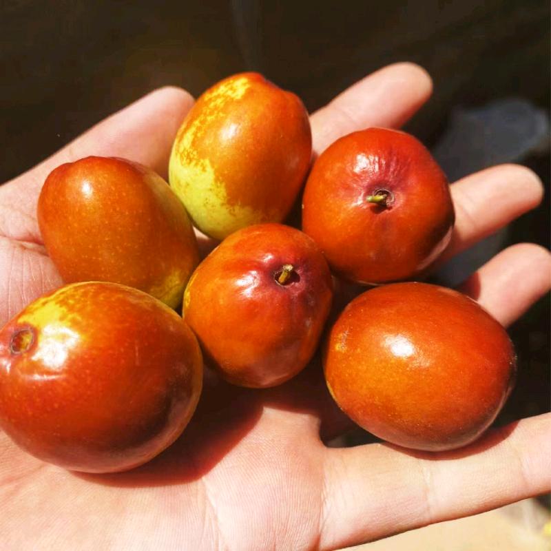 灯火新年彩灯烟花灯