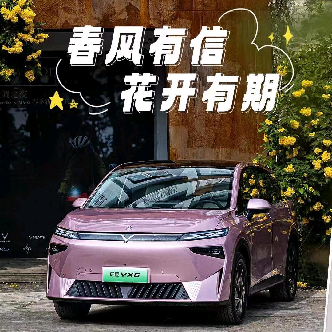 2024辰风破浪~