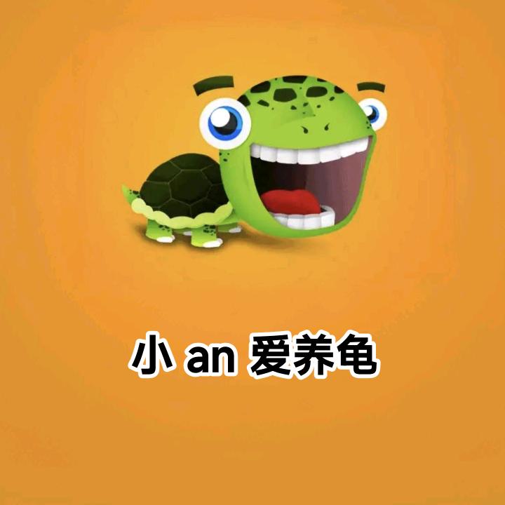 小an爱养龟（安哥龟宠）