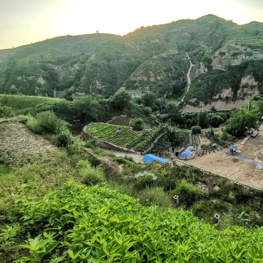 梯田小院