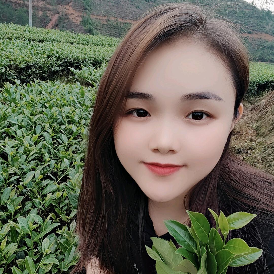 杨小荭茶菇凉