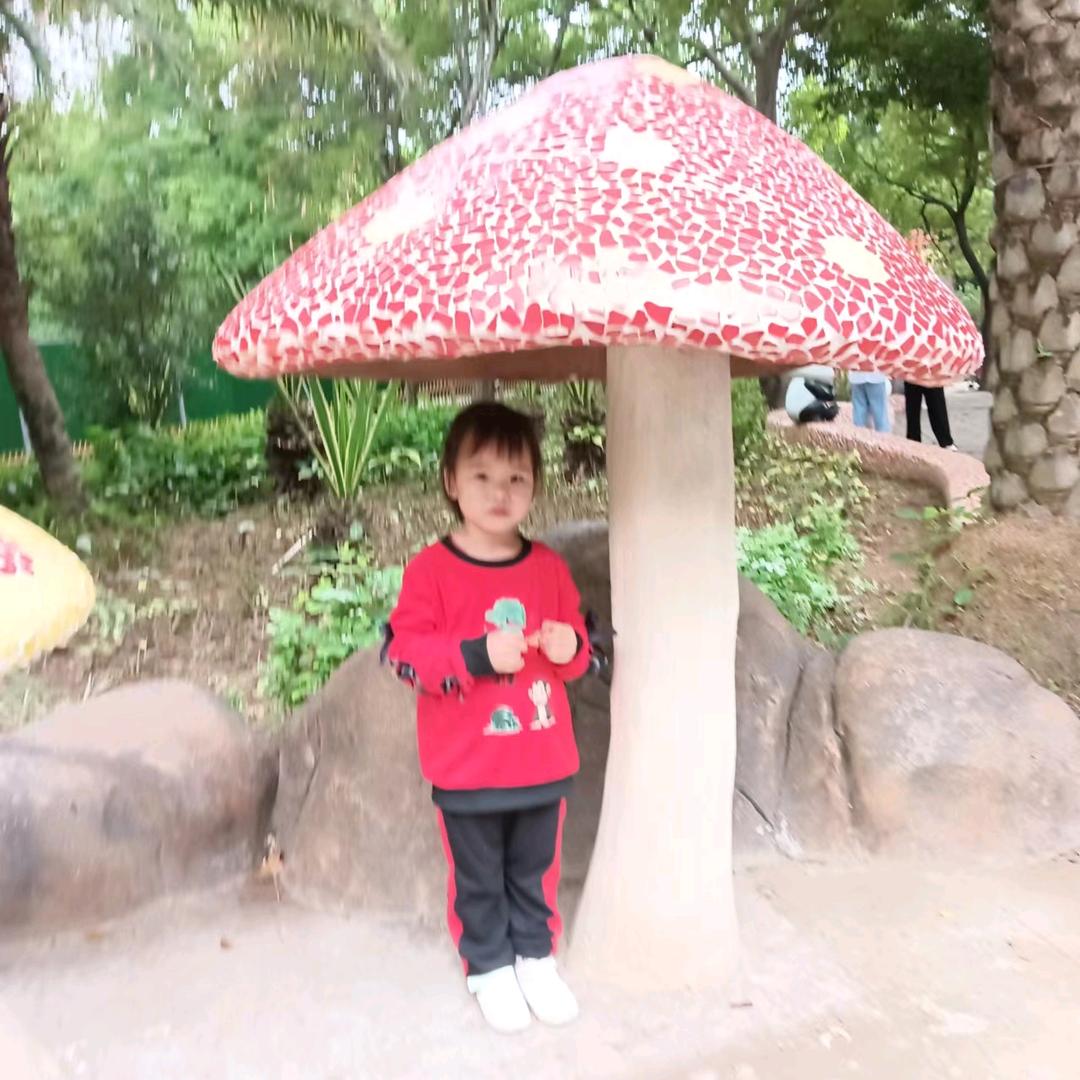煙雨人